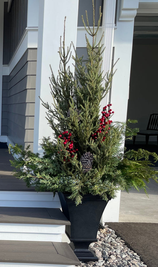 Tall Spruce Tips Display