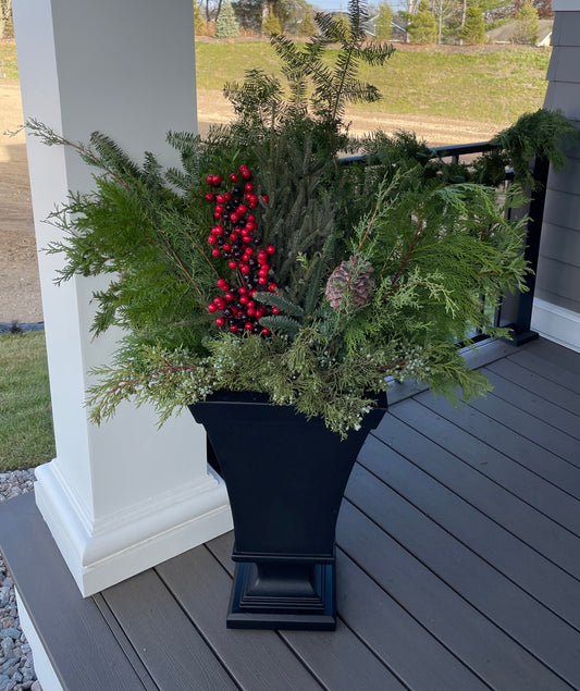 Shorter Spruce Tips Display